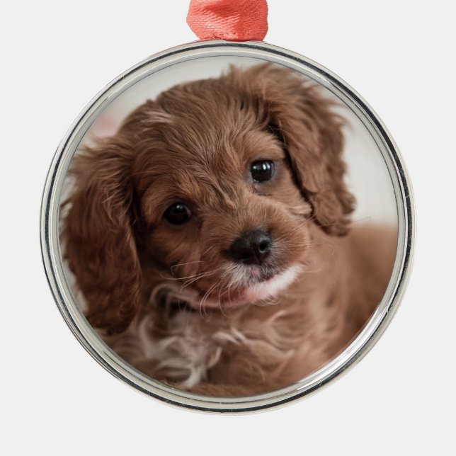 Ruby Cavapoo Puppy Dog Metal Tree Decoration (Front)
