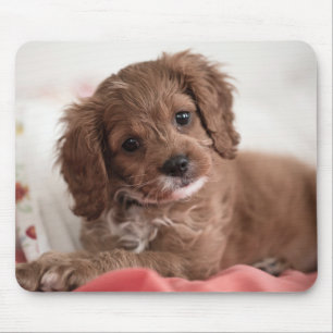 Ruby Cavapoo Puppy Dog Mouse Pad