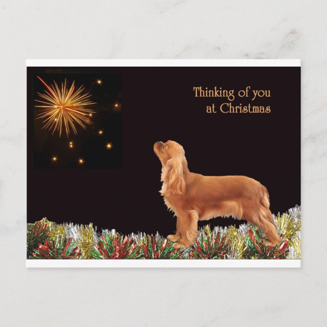 Ruby Christmas Cavalier Holiday Postcard (Front)