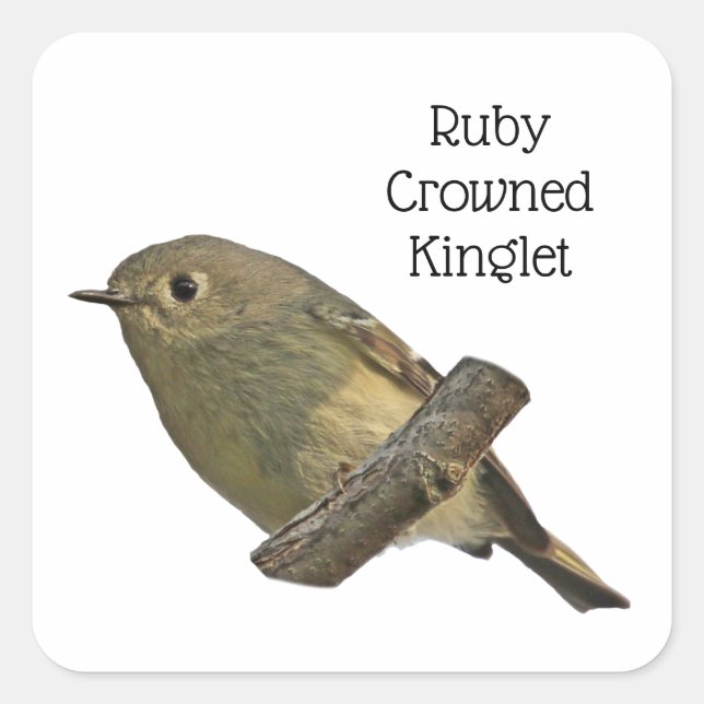 Ruby-Crowned Kinglet Square Sticker (Front)
