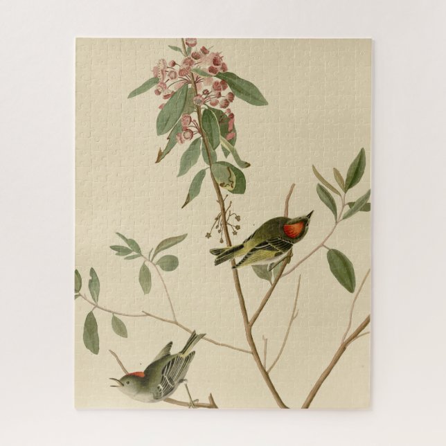 Ruby crowned Wren (Kinglet) Audubon Birds America Jigsaw Puzzle (Vertical)