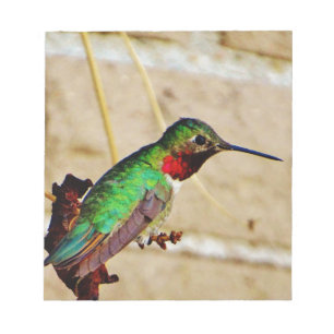 Ruby Green hummingbird Notepad