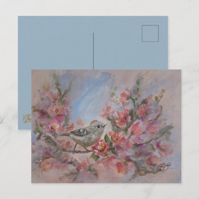 Ruby Kinglet Bird Postcard (Front/Back)