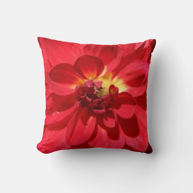 Ruby Red Dahlia Flower Cushion (Front)