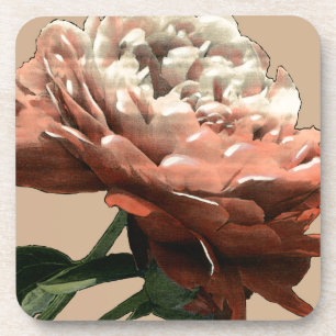 Ruby Red Rose with White Accents Coaster