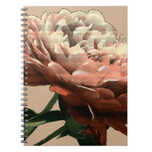 Ruby Red Rose with White Accents Spiral Notebook