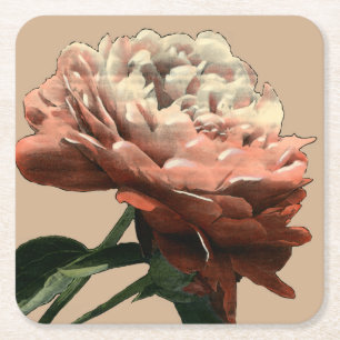 Ruby Red Rose with White Accents Square Paper Coaster