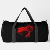Ruby Red Siamese Fighting Fish
