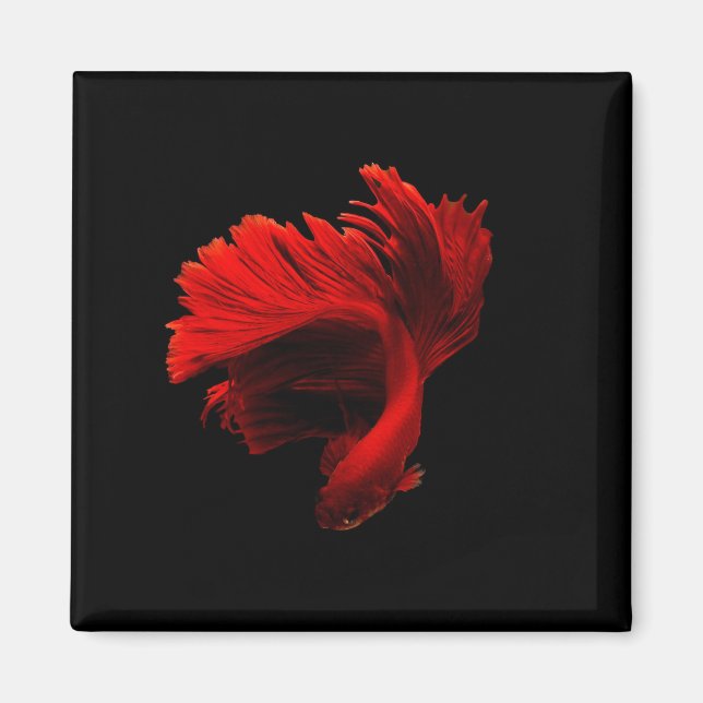 Ruby Red Siamese Fighting Fish Magnet (Front)