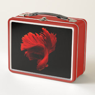 Ruby Red Siamese Fighting Fish Metal Lunch Box