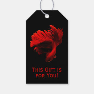 Ruby Red Siamese Fighting Fish This Gift For You Tags
