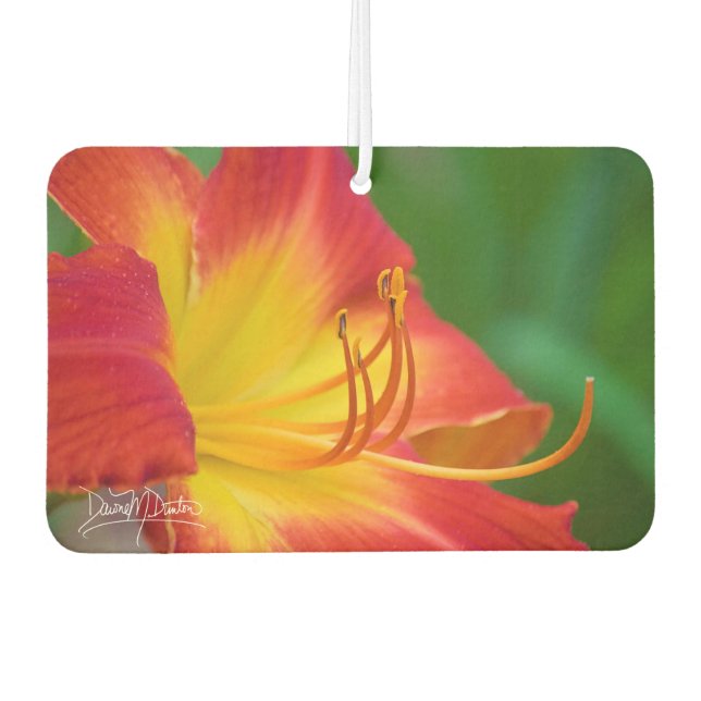 Ruby Spider Day Lily Car Air Freshener (Front)