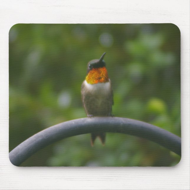 Ruby Throat Hummingbird Mouse Pad (Front)