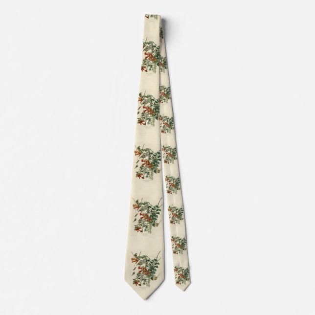 Ruby-throated Humming Bird, Audubon Birds America Tie (Front)