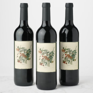 Ruby-throated Humming Bird, Audubon Birds America Wine Label