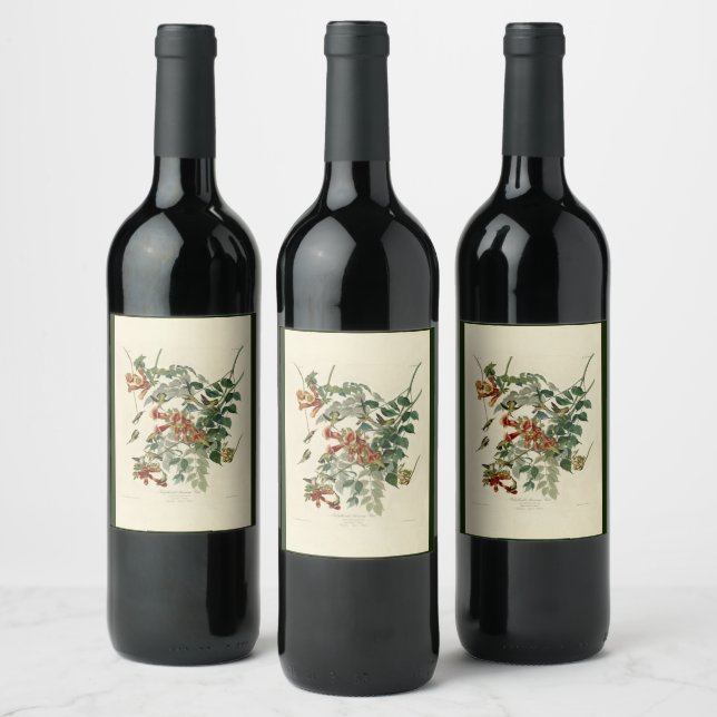 Ruby-throated Humming Bird, Audubon Birds America Wine Label (Bottles)