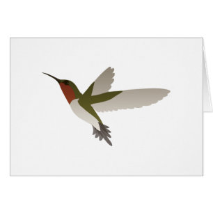Ruby Throated Hummingbird