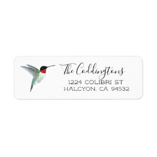 Ruby-throated Hummingbird