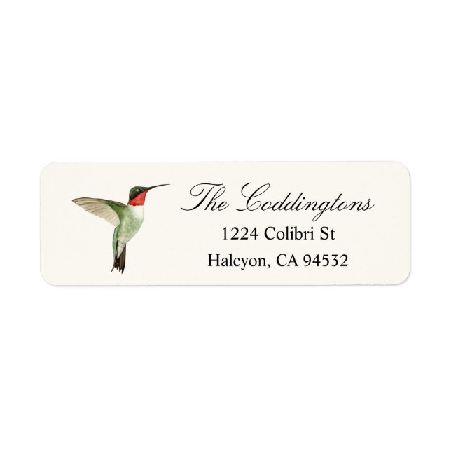 Ruby-throated Hummingbird (Front)