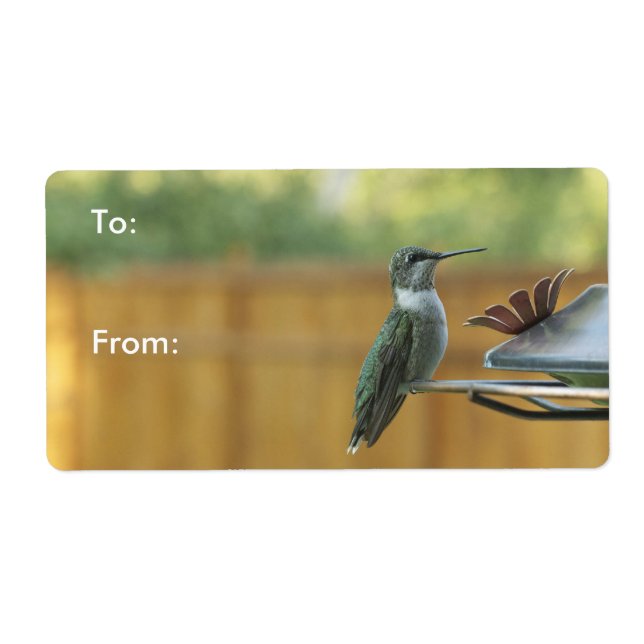 Ruby Throated Hummingbird (Front)