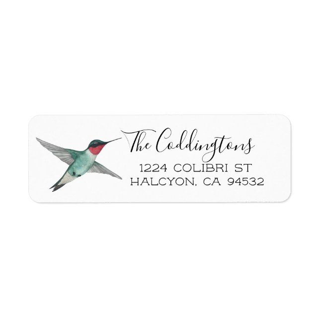 Ruby-throated Hummingbird (Front)
