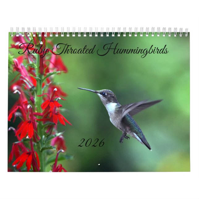 Ruby Throated Hummingbird 2026  Calendar (Cover)
