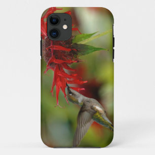 Ruby-Throated Hummingbird Archilochus Colubris Case-Mate iPhone Case