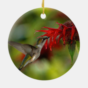 Ruby-Throated Hummingbird Archilochus Colubris Ceramic Tree Decoration