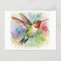 Ruby-throated Hummingbird at rest Watercolor