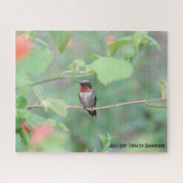 Ruby Throated Hummingbird, bird lover's  Jigsaw Puzzle (Horizontal)
