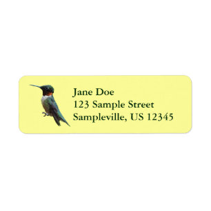 Ruby-Throated Hummingbird Bird Photography