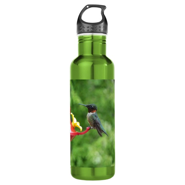 Ruby-Throated Hummingbird Bird Photography 710 Ml Water Bottle (Front)