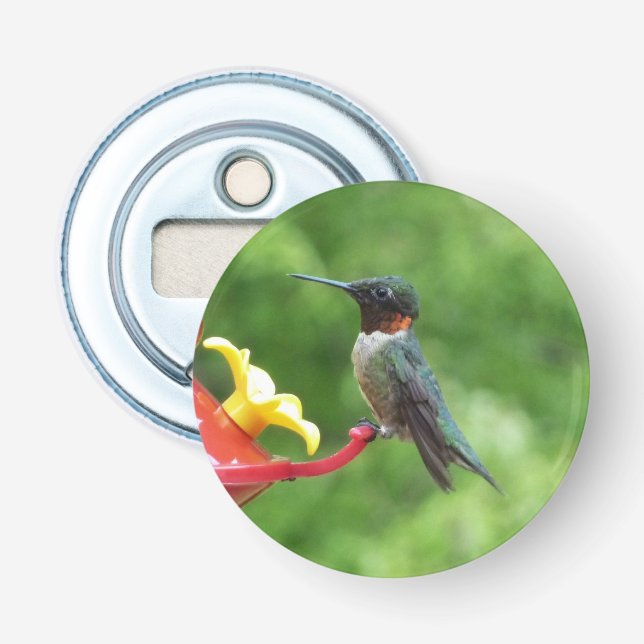 Ruby-Throated Hummingbird Bird Photography Bottle Opener (Front)
