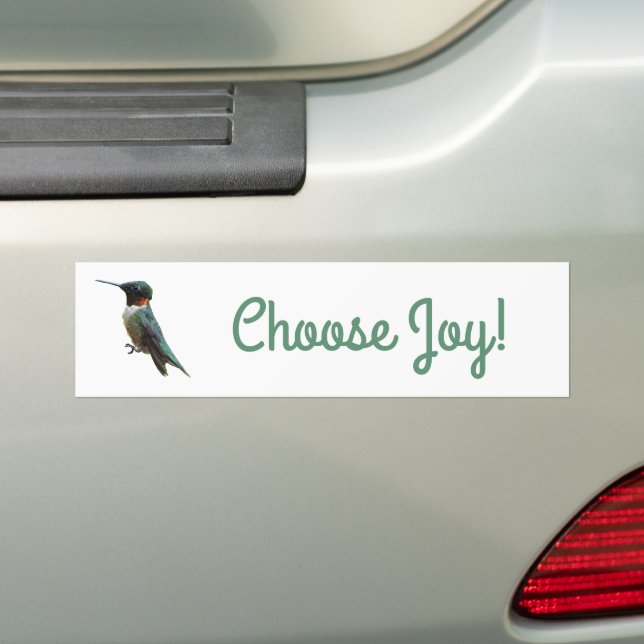Ruby-Throated Hummingbird Bird Photography Bumper Sticker (On Car)