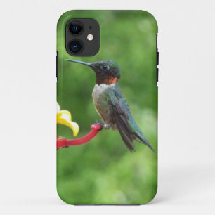 Ruby-Throated Hummingbird Bird Photography Case-Mate iPhone Case