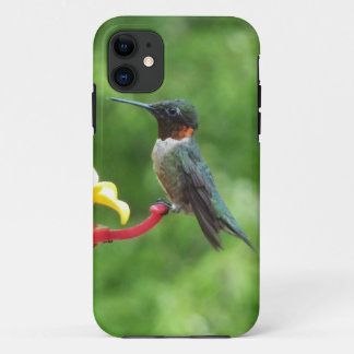 Ruby-Throated Hummingbird Bird Photography Case-Mate iPhone Case