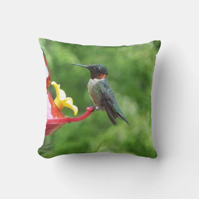 Ruby-Throated Hummingbird Bird Photography Cushion (Front)