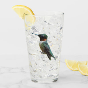 Ruby-Throated Hummingbird Bird Photography Glass