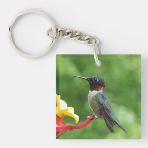 Ruby-Throated Hummingbird Bird Photography Key Ring