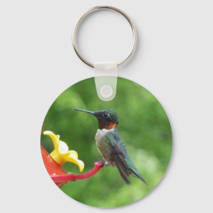 Ruby-Throated Hummingbird Bird Photography Key Ring