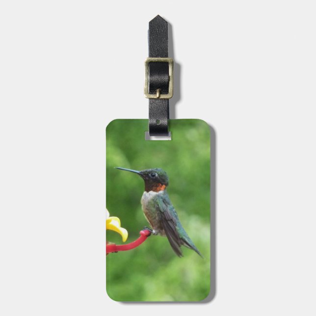 Ruby-Throated Hummingbird Bird Photography Luggage Tag (Front Vertical)