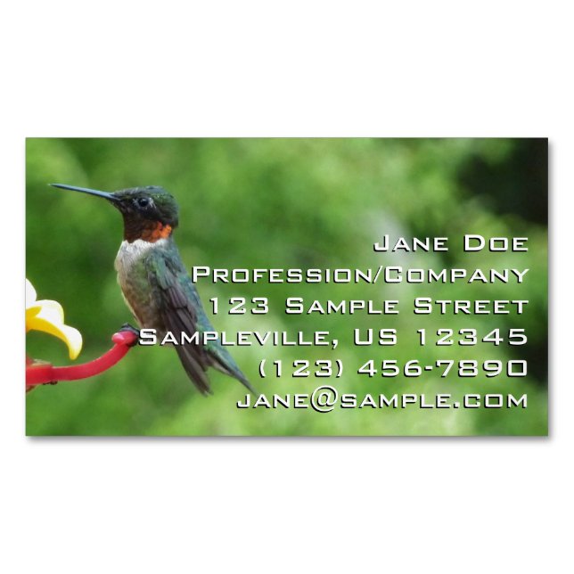 Ruby-Throated Hummingbird Bird Photography Magnetic Business Card (Front)