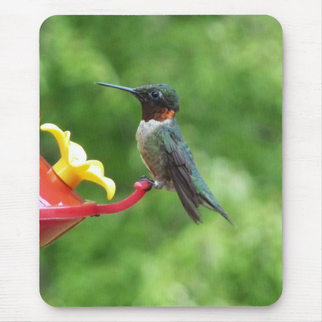 Ruby-Throated Hummingbird Bird Photography Mouse Pad (Front)