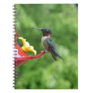 Ruby-Throated Hummingbird Bird Photography Notebook