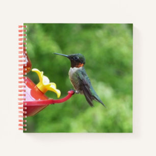 Ruby-Throated Hummingbird Bird Photography Notebook