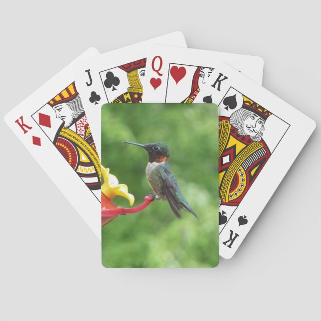 Ruby-Throated Hummingbird Bird Photography Playing Cards (Back)