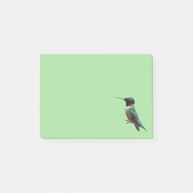 Ruby-Throated Hummingbird Bird Photography Post-it Notes (Front)