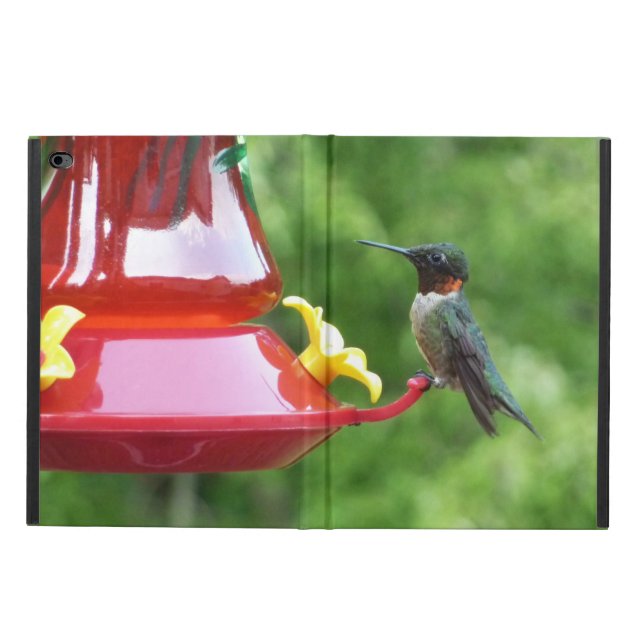 Ruby-Throated Hummingbird Bird Photography Powis iPad Air 2 Case (Outside)