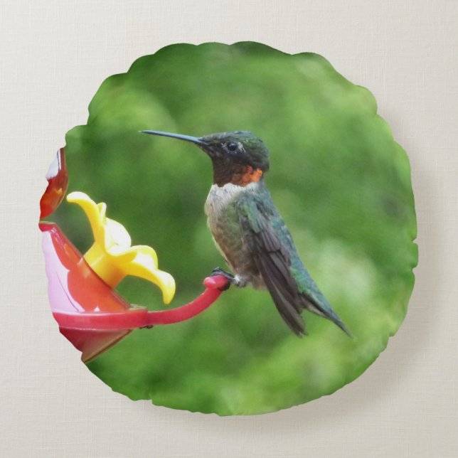 Ruby-Throated Hummingbird Bird Photography Round Cushion (Front)