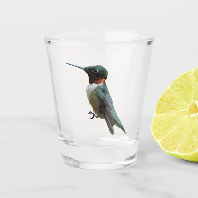 Ruby-Throated Hummingbird Bird Photography Shot Glass (Front)